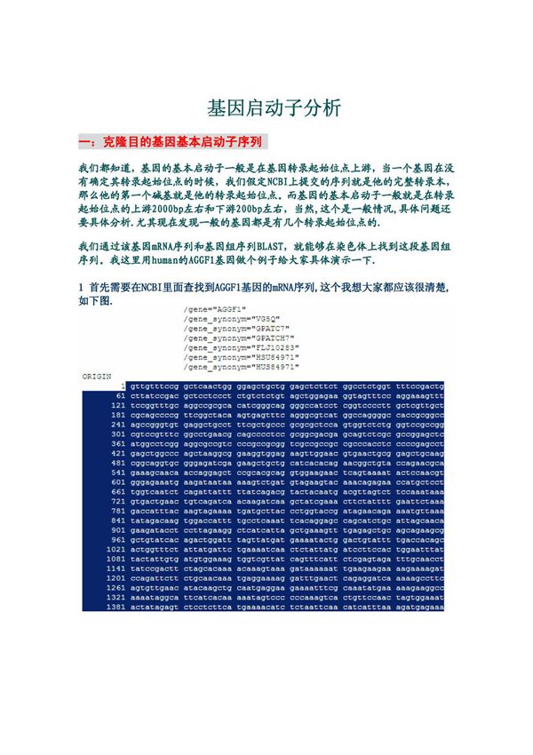 基因启动子分析(PDF)