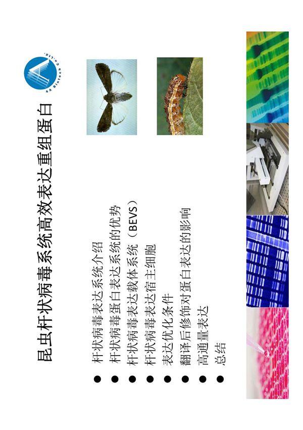 杆状病毒表达系统(PDF)