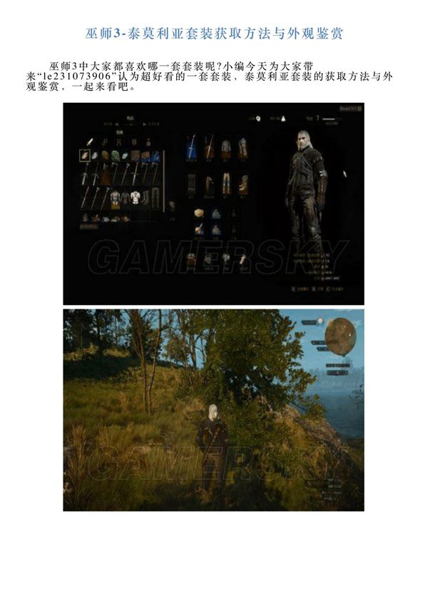 巫师3泰莫利亚套装获取方法与外观鉴赏