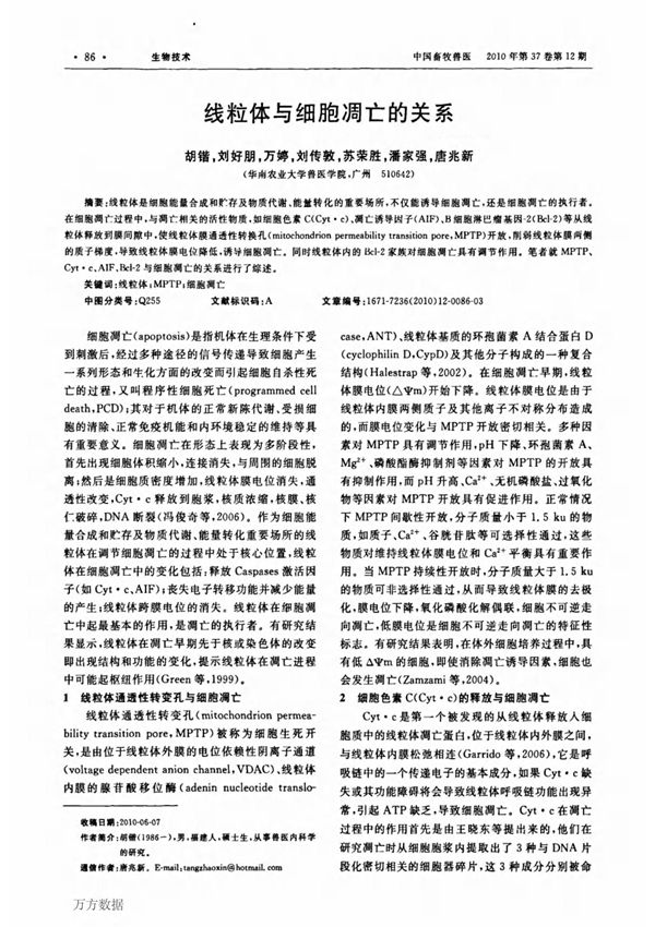 线粒体与细胞凋亡的关系