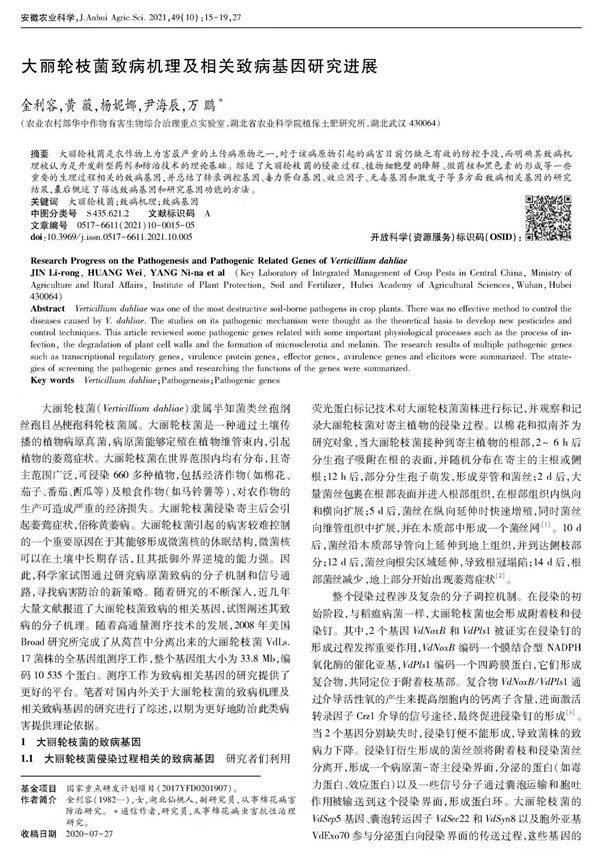 大丽轮枝菌致病机理及相关致病基因研究进展