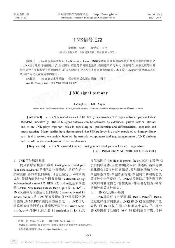 JNK信号通路(精品)