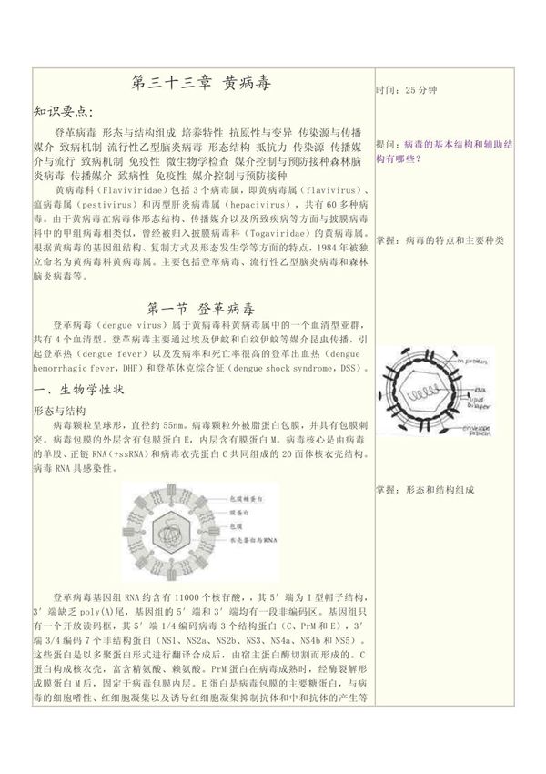 (医学微生物学教案)第三十三章 黄病毒
