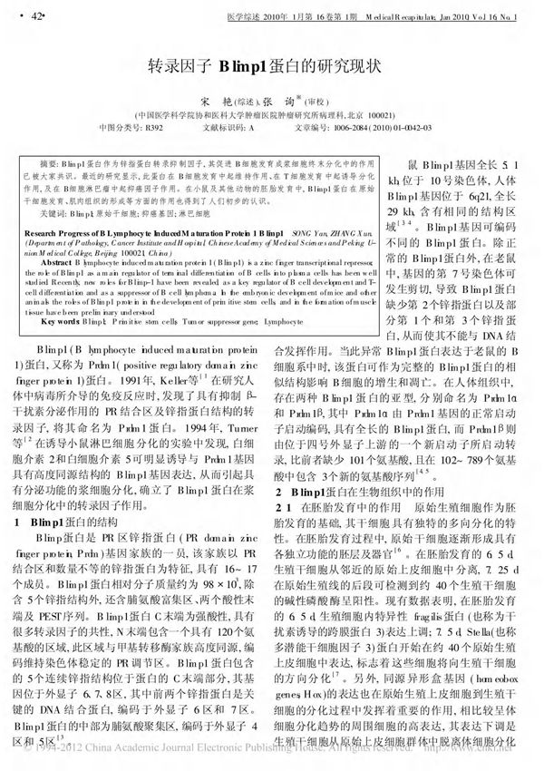 转录因子Blimp1蛋白的研究现状
