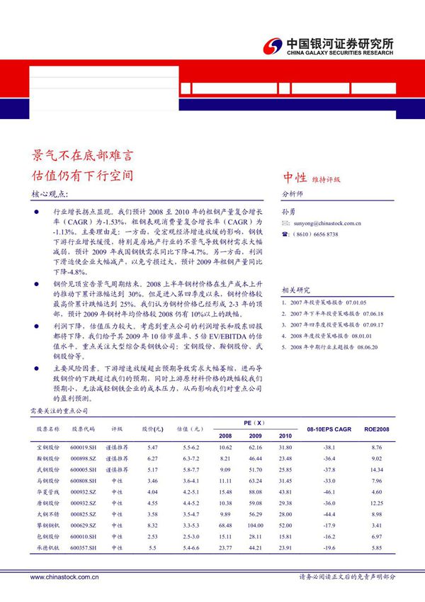 2009年钢铁行业报告
