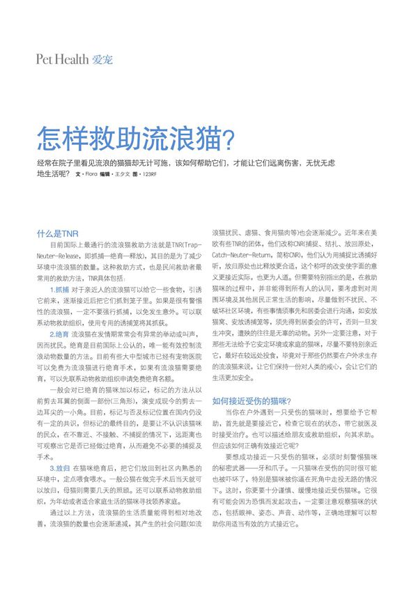 怎样救助流浪猫?