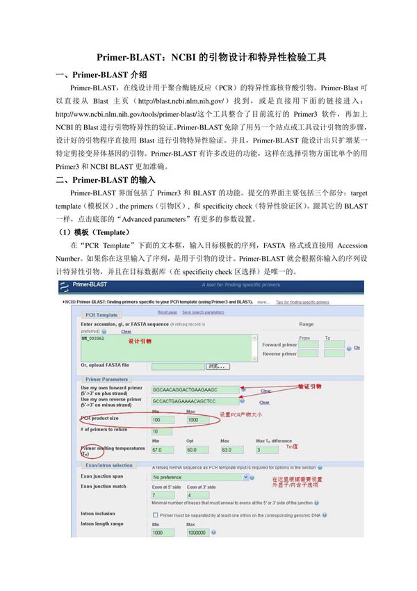 Primer-BLAST-NCBI 的引物设计和特异性检验工具