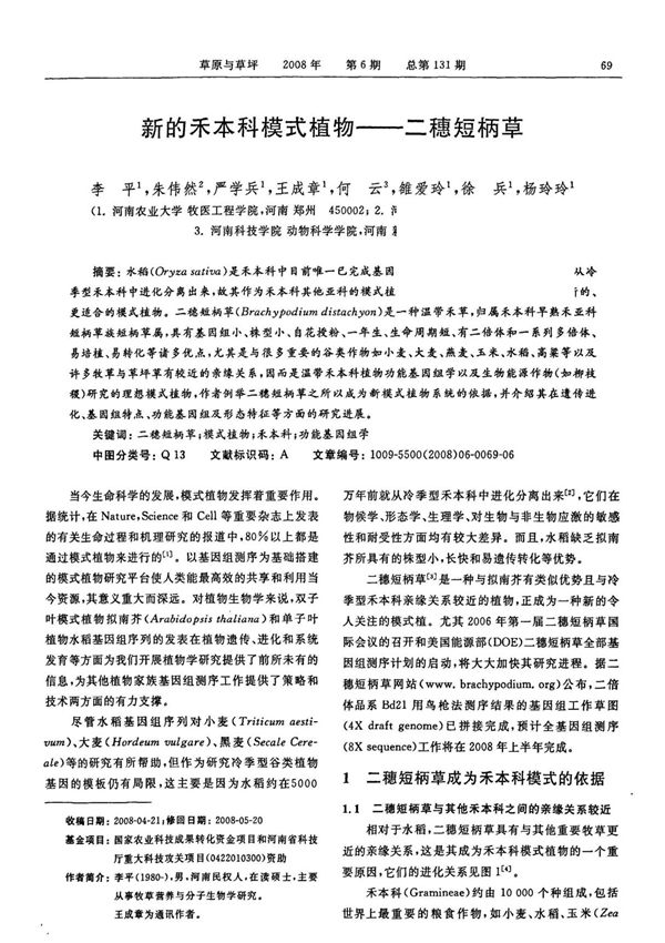 新的禾本科模式植物二穗短柄草
