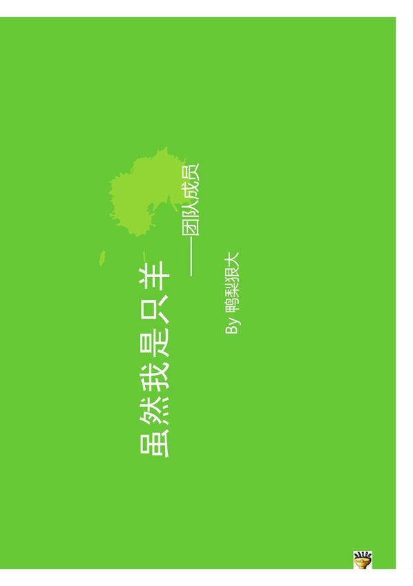 项目管理 团队成员分工