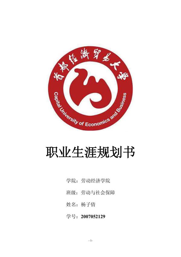 人力资源职业生涯规划书