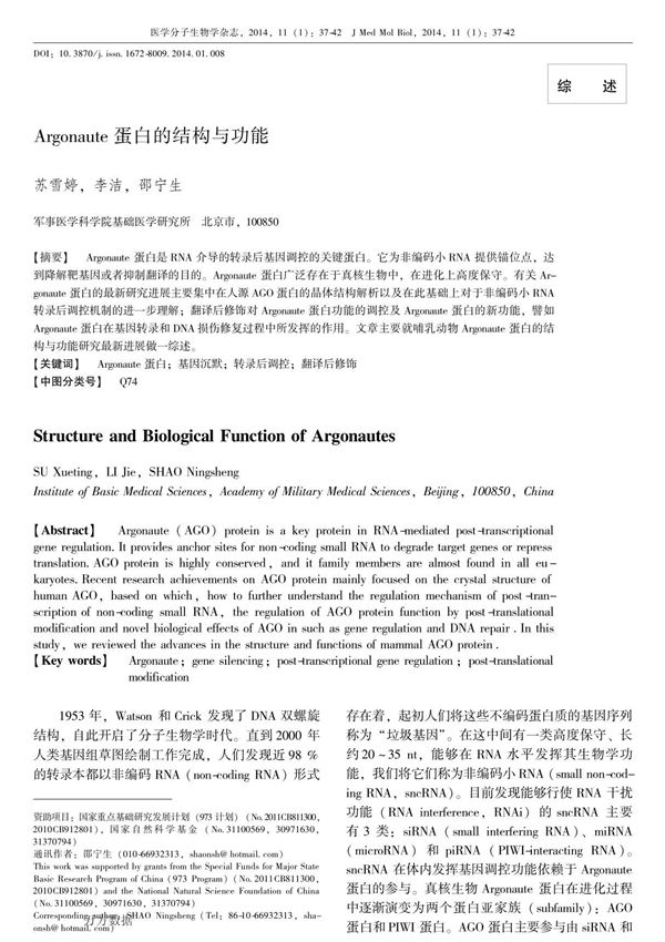 Argonaute蛋白的结构与功能