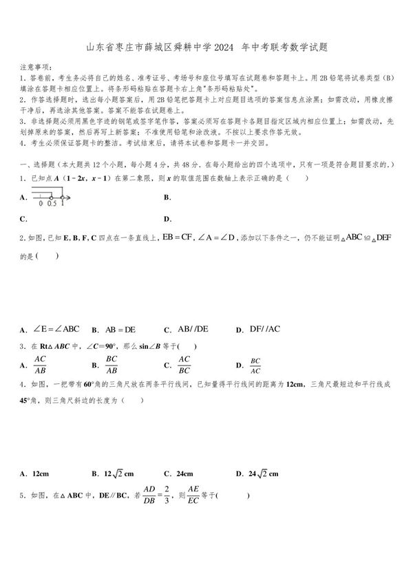 山东省枣庄市薛城区舜耕中学2024届中考联考数学试题含解析