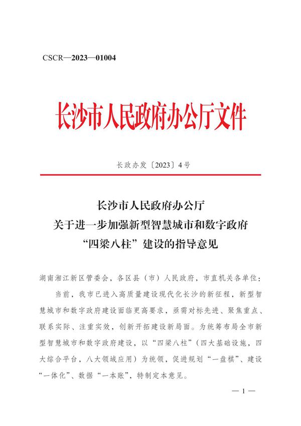 长沙市人民政府办公厅关于进一步加强新型智慧城市和数字政府四梁八柱建设的指导意见