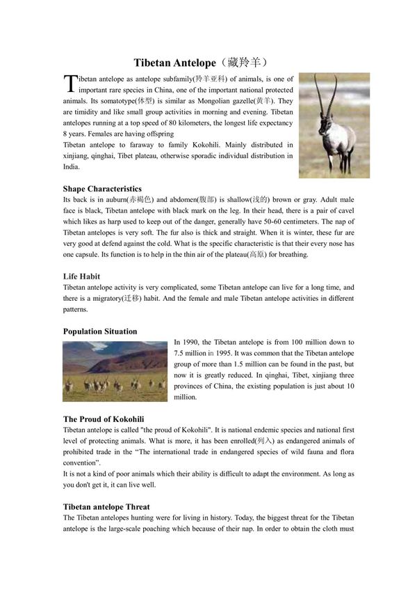 Tibetan Antelope PDF