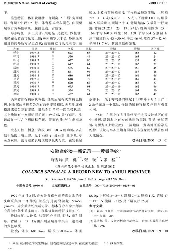 安徽省蛇类一新记录黄脊游蛇