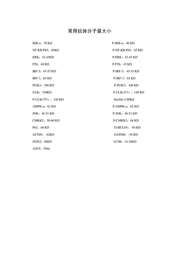 常用抗体分子量大小
