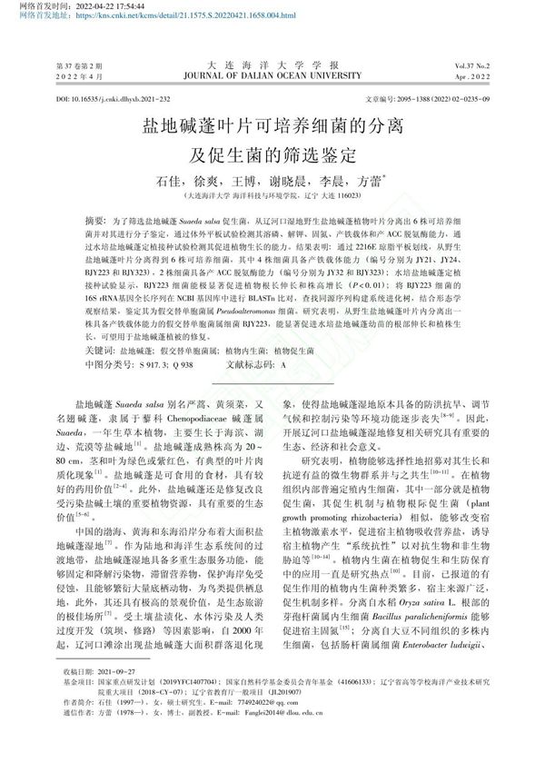 盐地碱蓬叶片可培养细菌的分离及促生菌的筛选鉴定 石佳