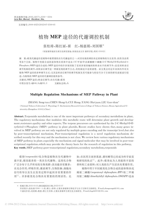 植物MEP途径的代谢调控机制