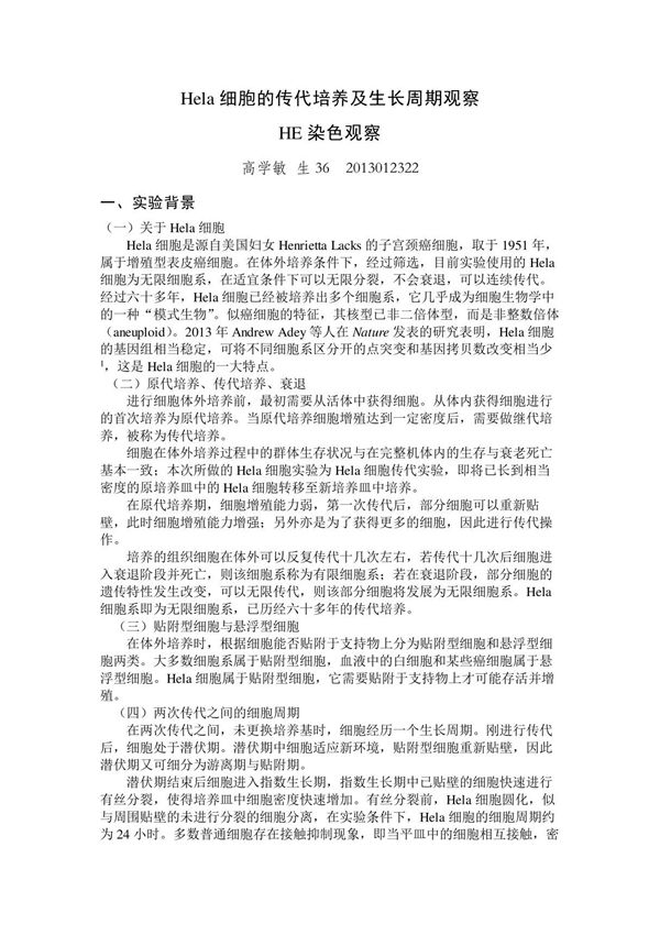 Hela细胞转染实验报告