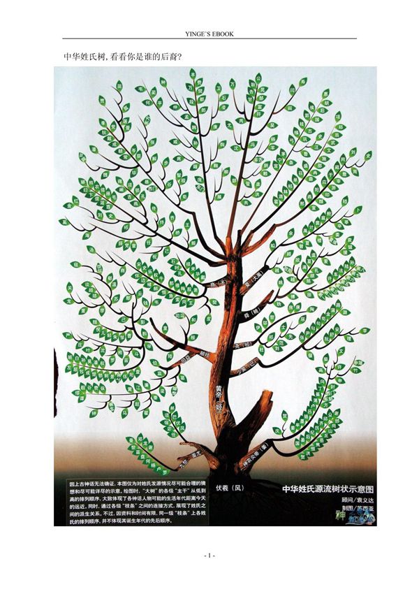 中华姓氏树姓氏的来源