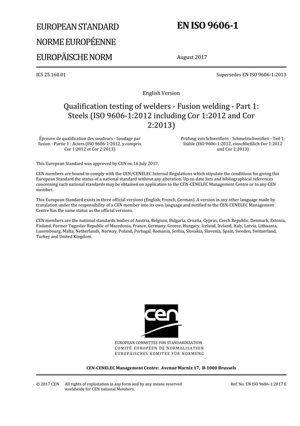 EN ISO 9606-1-2017