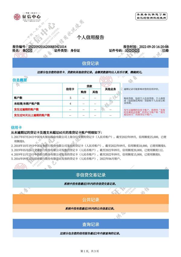 个人信用报告网查版简版征信报告PDF模板样板