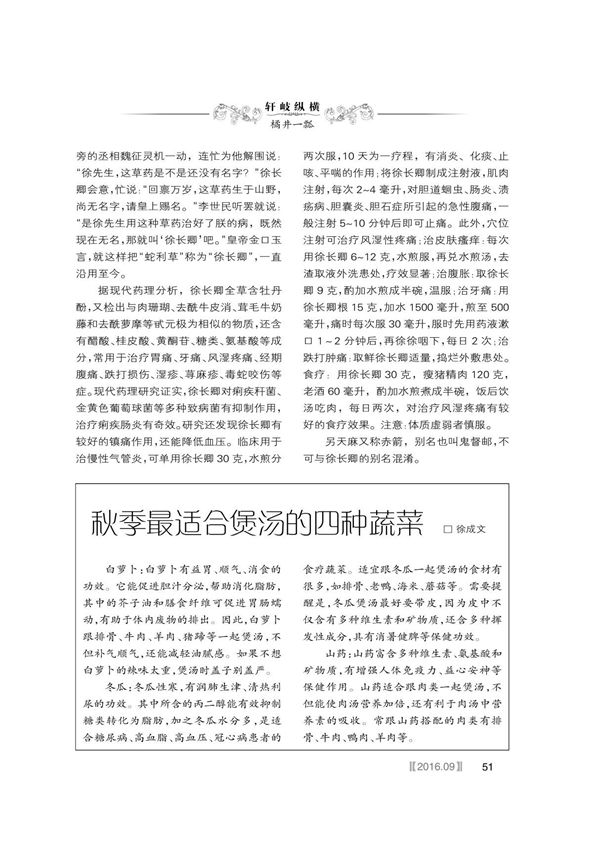 秋季最适合煲汤的四种蔬菜