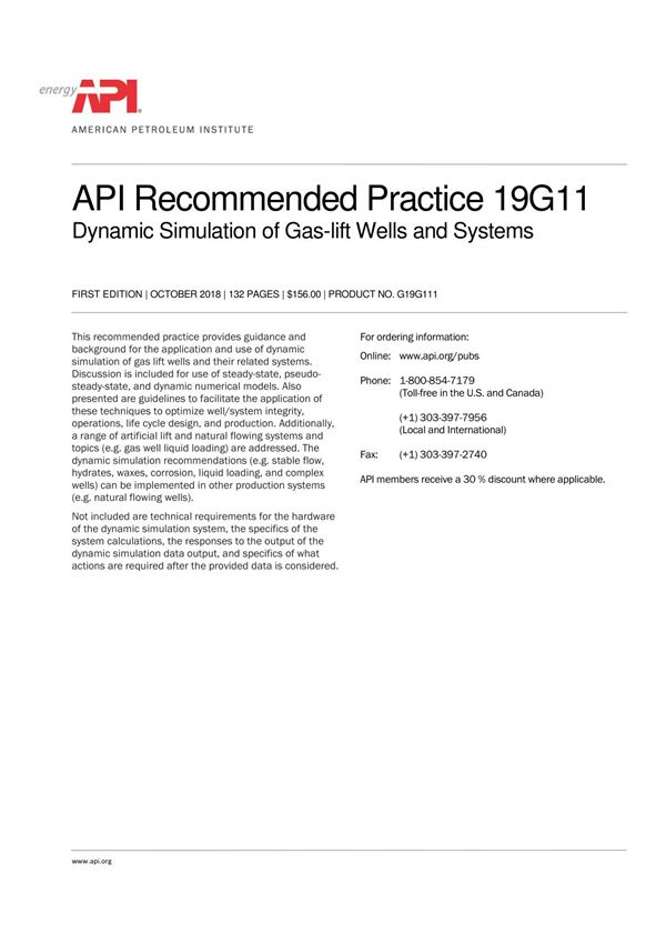 API RP 19G11《气举井与系统的动态仿真推荐做法》第一版