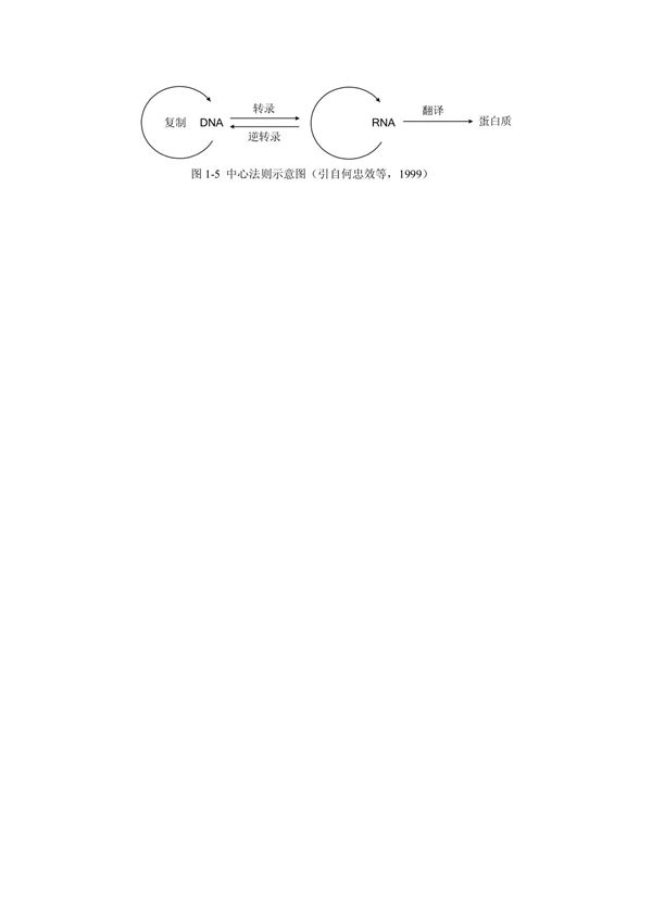 中心法则示意图(引自何忠效等