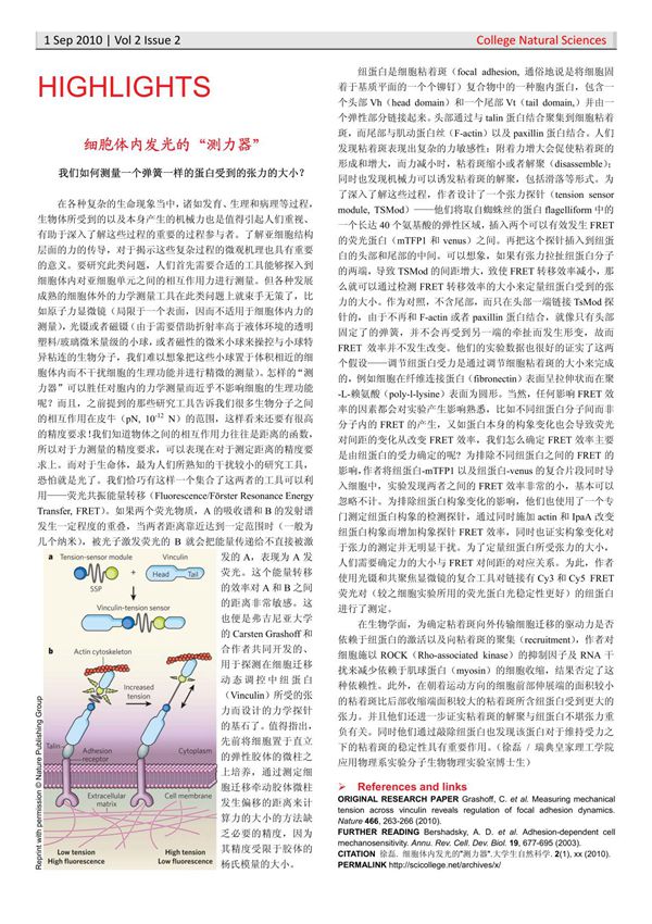 纽蛋白是细胞粘着斑(focal adhesion, 通俗地说是将细胞固