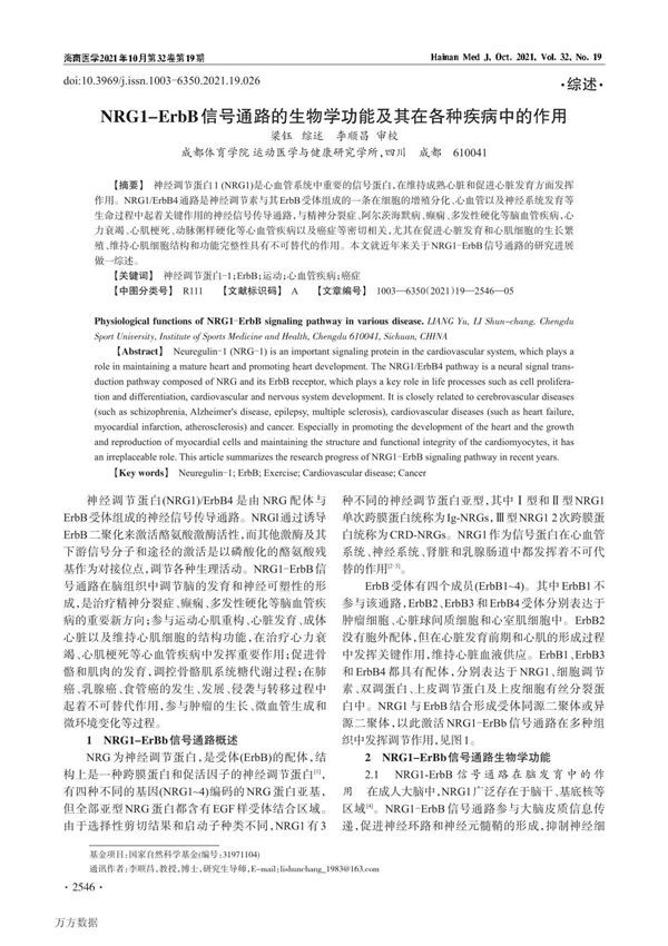 NRG1-ErbB信号通路的生物学功能及其在各种疾病中的作用