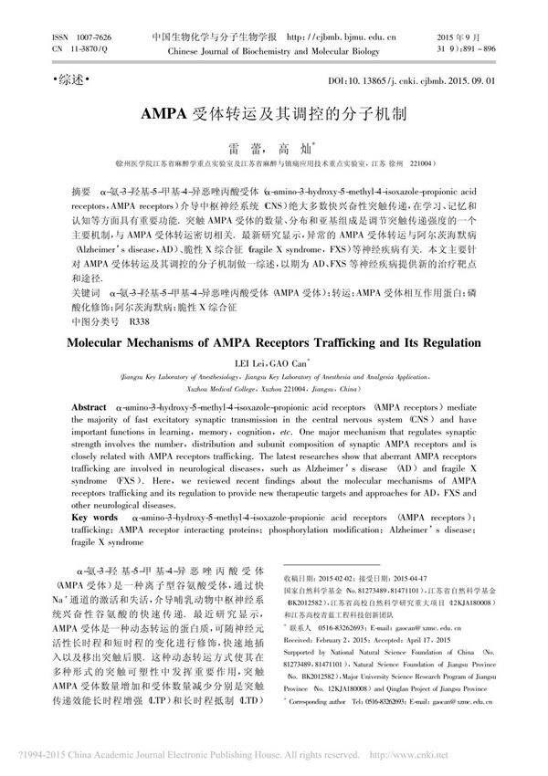 AMPA受体转运及其调控的分子机制