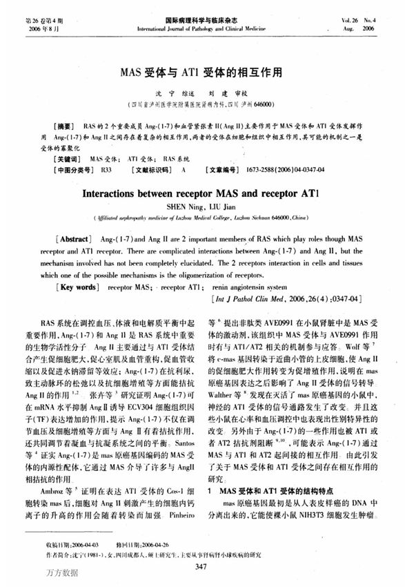 MAS受体与AT1受体的相互作用