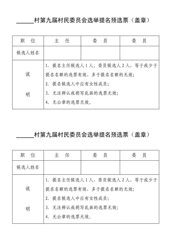 选举提名候选人票