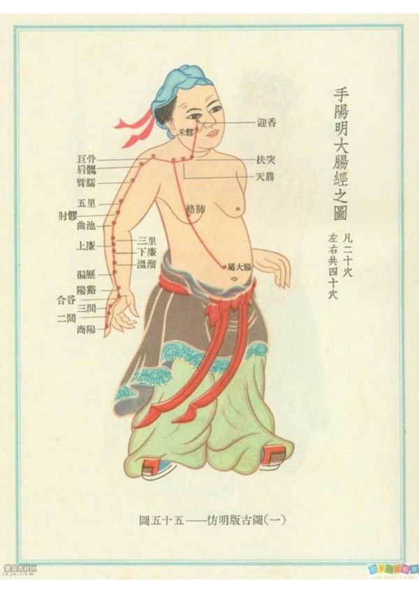高清版十二经络图解(珍藏版)