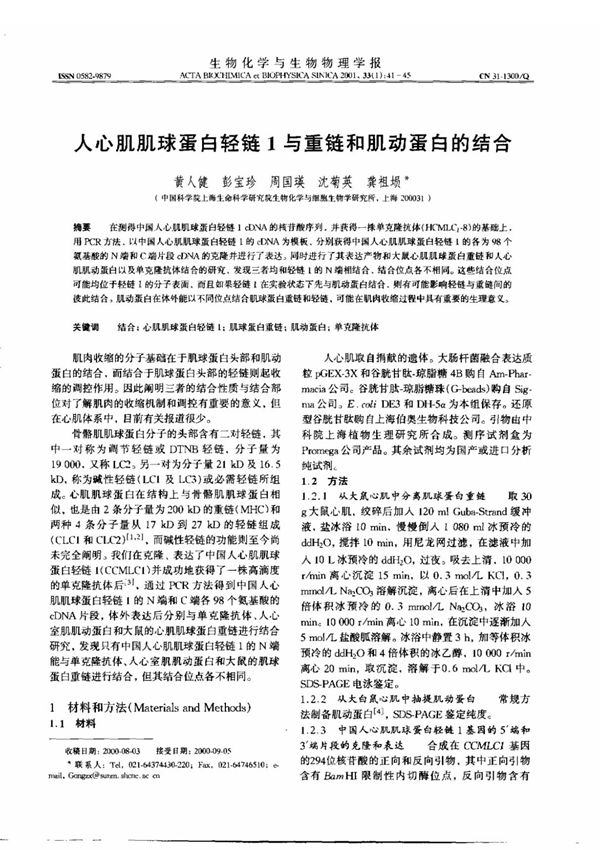 人心肌肌球蛋白链1与重链和肌动蛋白的结合