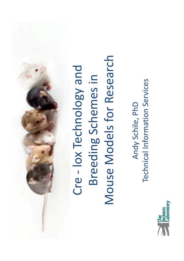 Cre-loxP基因敲除系统(JacksonLab)