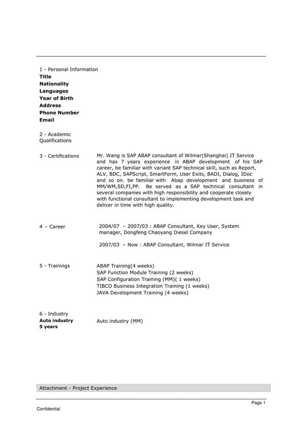 ABAP简历-英文项目填写模版