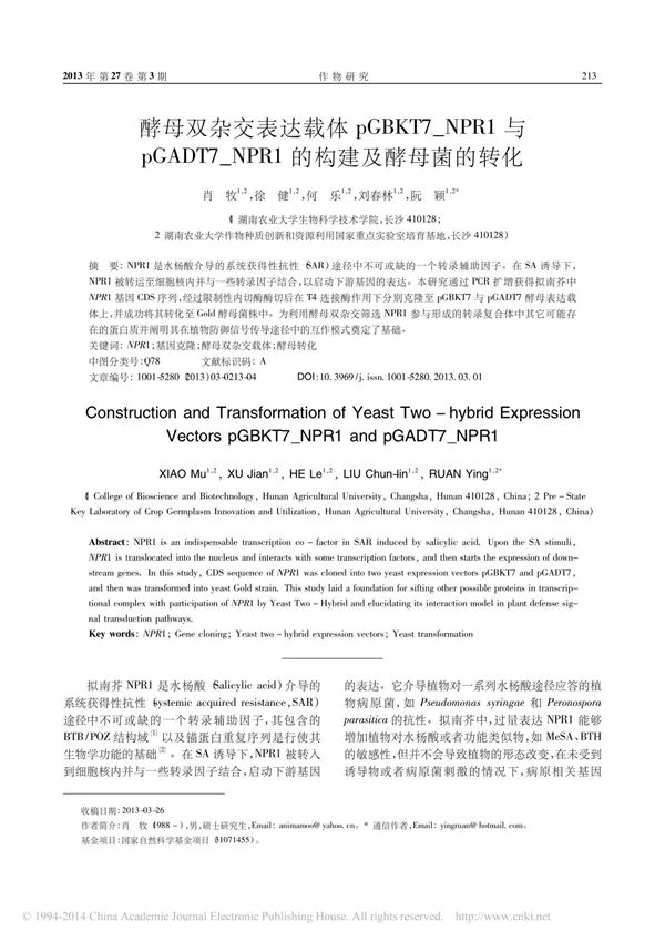 酵母双杂交表达载体pGBKT7 NPR1与pGADT7 NPR1的构建及酵母菌的