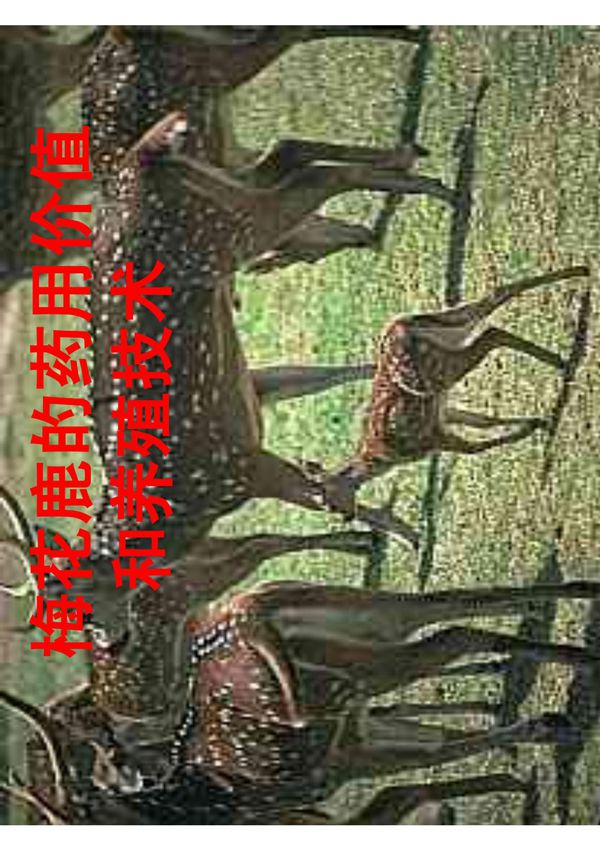 鹿的药用价值和养殖技术