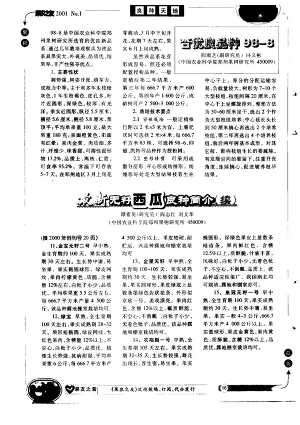 杏优良品种98—8