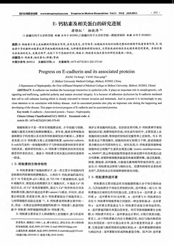 e-钙粘素及相关蛋白的研究进展