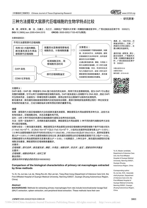 三种方法提取大鼠原代巨噬细胞的生物学特点比较 禹茜