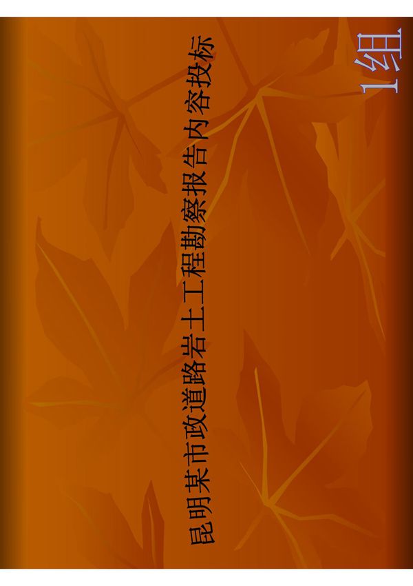 昆明某市政道路岩土工程勘察报告内容