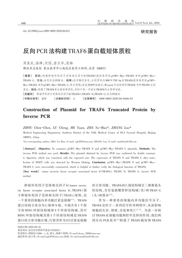 反向PCR法构建TRAF6蛋白截短体质粒