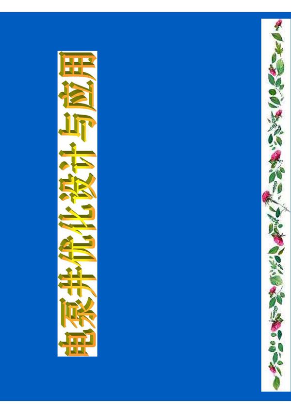 电泵井优化设计与应用