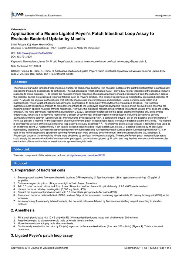 Application of a Mouse Ligated Peyers Patch Intestinal Loop Assay to Evaluate Bacterial Uptake by M cells