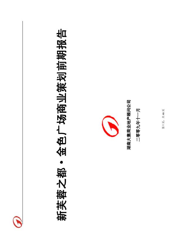 新芙蓉之都招商策划前期报告初稿205447818