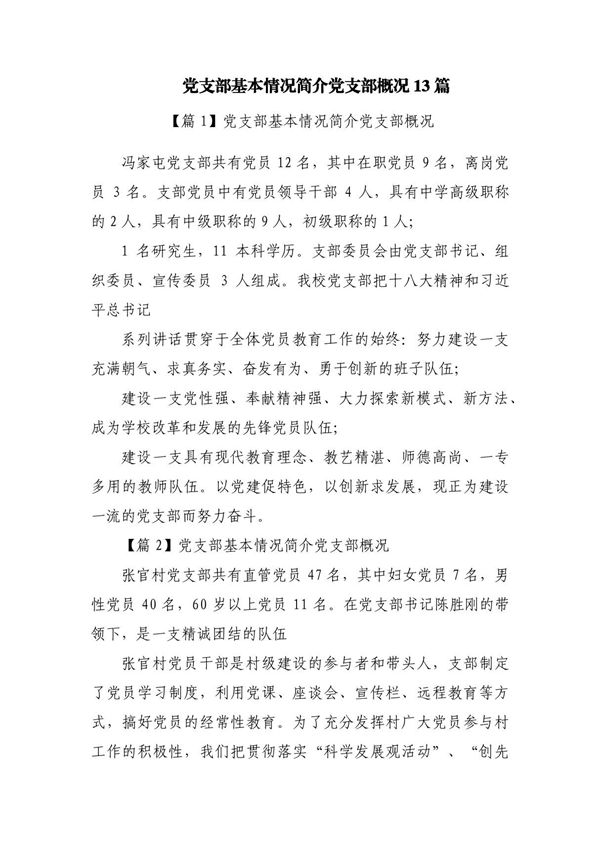党支部基本情况简介党支部概况13篇