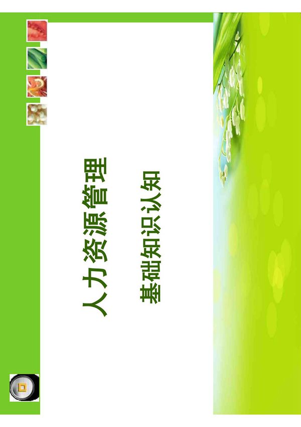 人力资源管理基础知识认知